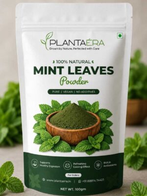 Mint Leaves Powder - 100% Natural